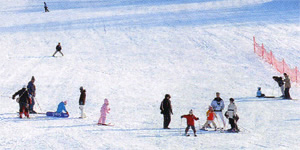 スキー場の写真