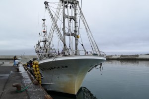港に停泊する船の写真