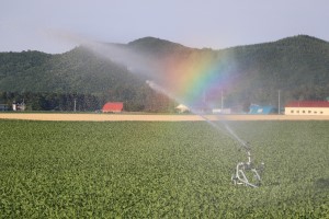 虹のかかるリールマシーンの写真