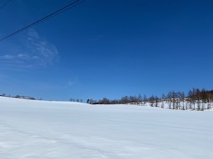 一面雪の大地と青空